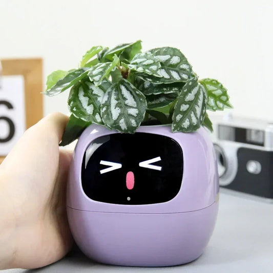 Smart Small Flower Pot