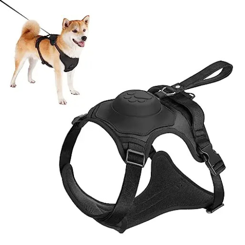 Dog Harness and Automatic Retractable Leash Kit